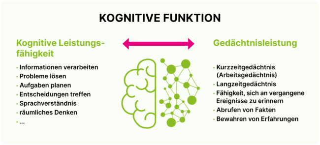 Kognitive Funktion: Zusammenhang zwischen kognitiver Leistungsfähigkeit und Gedächtnisleistung