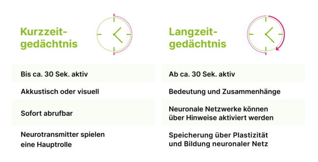 Vergleich von Kurzzeitgedächtnis und Langzeitgedächtnis: Neurotransmitter und neuronale Netzwerke.